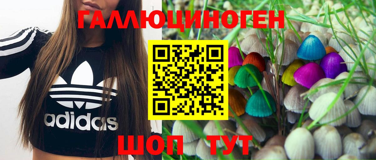 закладка  Вход с VPN  Мирный  Галлюциногенные грибы MAGIC MUSHROOMS 