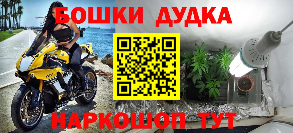 Марихуана планчик  Бошки Шишки конопля  Мирный  Вход с VPN  Бошки марихуана Ganja 
